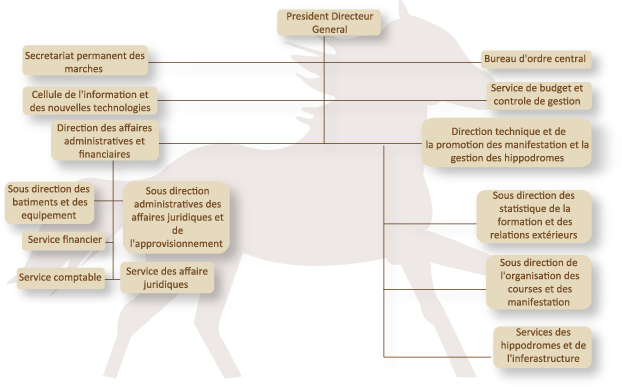 organigramme